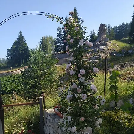 емили фемили хаус ゲストハウス コプリフシティツァ