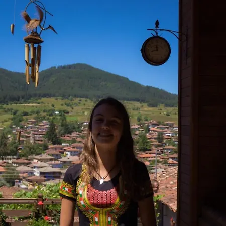 емили фемили хаус