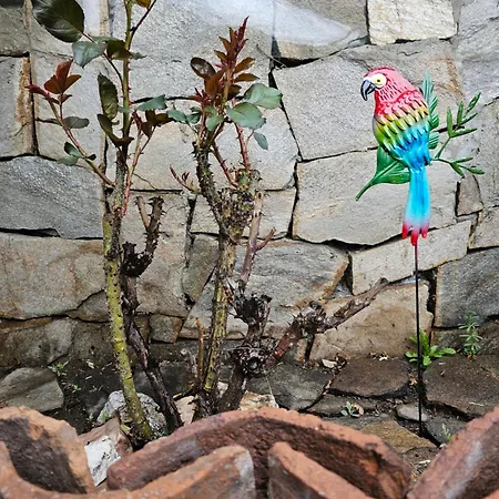 ゲストハウス емили фемили хаус