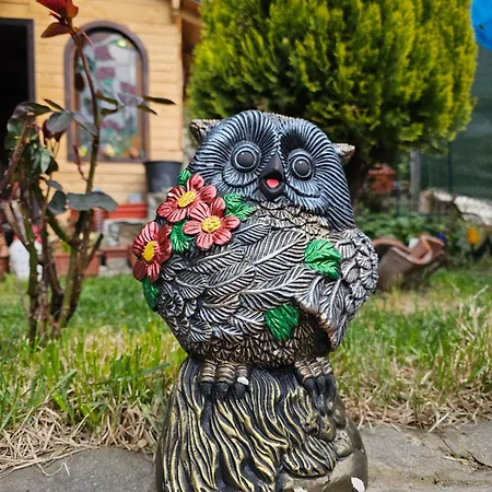 емили фемили хаус