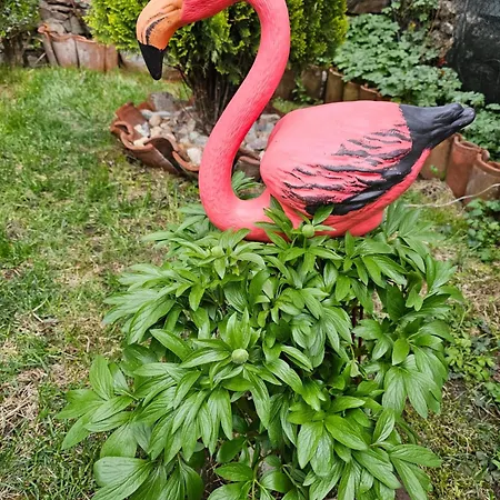 емили фемили хаус