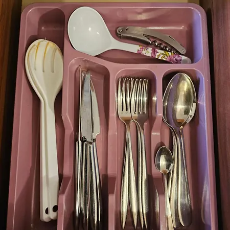 емили фемили хаус ゲストハウス コプリフシティツァ