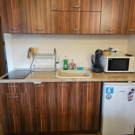 Casa de hóspedes емили фемили хаус Koprivshtitsa