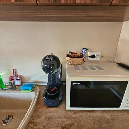 емили фемили хаус * コプリフシティツァ